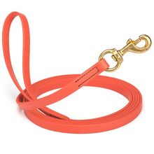 Dog Pet Leash Coral w/ Brass Hardware W 5/8" - L20'