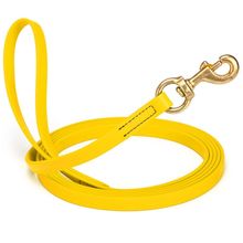 Dog Pet Leash Lemon Yellow w/ Brass Hardware W 5/8" - L20'