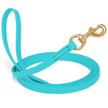 Dog Pet Leash Sky Blue w/ Brass Hardware W 5/8" - L20'