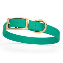 Dog Pet Collar with Brass Hardware Size M W 3/4” L 15” - 18” Teal