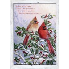Enjoy The Splendor of The Season - Christmas Tree Free Greeting Card - 14792