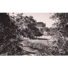 Forest Around Morocco Ifrane Grand Hotel Balima Real Photo Vintage Postcard
