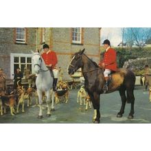 Leaving For The Hunt Fox Hunting 1970s Postcard