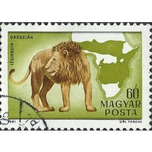 HUNGARY, CAT, Lion, Panthera leo, green 1981, 60f