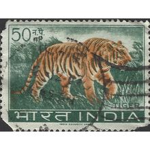 INDIA, CAT, Tiger, Panthera tigris, green 1963, 50np