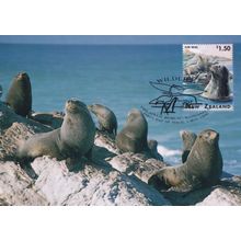 Fur Seal New Zealand Stamp Postcard First Day Cover