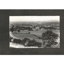 Postcard Devon Honiton from Springfield 1960s