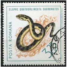 1965 Michel 2386 - cancelled