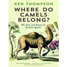 Where Do Camels Belong