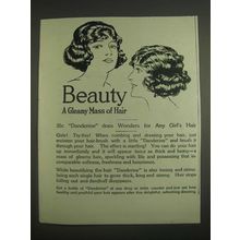 1925 Danderine Hair Dressing Ad - Beauty a Gleamy Mass of Hair