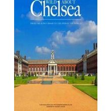 Wild Wild About Chelsea