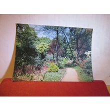 pathway, PARC CEFN-ON, CARDIFF, WALES unused postcard by W F Sedgwick=
