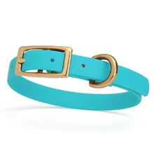Dog Pet Collar with Brass Hardware Size XS W 1/2” L 9” - 12” Sky Blue