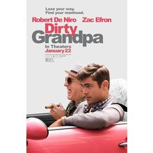 Dirty Grandpa (2016)_3 Movie Film Poster Canvas iconic design