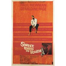 Sweet Bird Of Youth -US 1962 Poster Canvas Movie Film Print A0 A1 A2 A3 A4 A5 A6