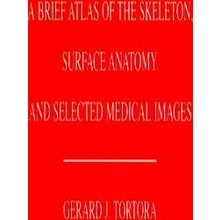 A Brief Atlas of the Human Skeleton, Surface Anatomy and Selected Medical Images