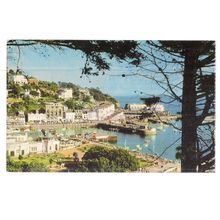 TORQUAY HARBOUR, DEVON unused postcard by Jarrold =
