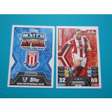 267. Marko Arnautovic - Stoke City - Match Attax 2013/14 Football Card EF1