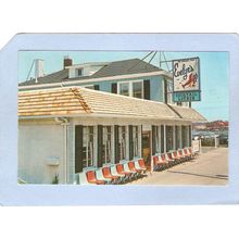 New Jersey Belmar The Original Dave & Evelyns 509 F St On Rt 71~1882