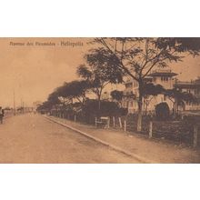 Heliopolis Avenue Des Piramides Antique Postcard