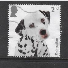 2024 Dogs - Dalmatian- used