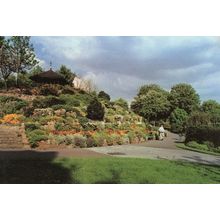OAPS Rambling at Burslem Park Stoke On Trent Staffs Postcard