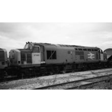 37 685 Diesel