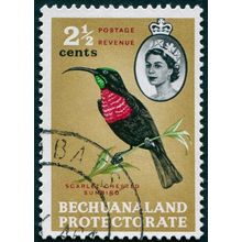 Bechuanaland 1961 2½c Scarlet-chested Sunbird SG170 used