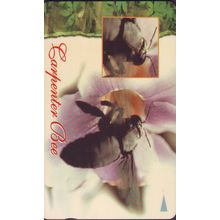 Carpenter Bee S'pore $3 Telephone Card (Used)