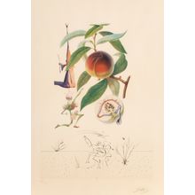 Salvador Dalí (1904-1989). Pecheur penitant, from Flor Dali Les fruits, 1969 Pos