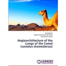 Angioarchiitecture of the Lungs of the Camel (Camelus Dromedarius) - Ibrahim Dal