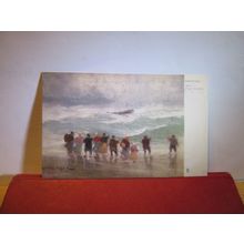 THE STORM Prof Van Hier unused antique postcard by Raphael Tuck art series =