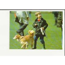 Royalty PRINCE WILLIAM Postcard by Beric Tempest