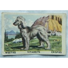 Australian Vitabrits Weeties Tailwaggers 1 Afghan Hound