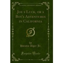 Joes Luck, or a Boy's Adventures in California (Classic Reprint)