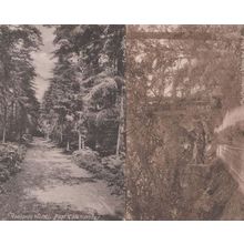 Coldharbour Merriden Redlands Wood 2x Antique Postcard