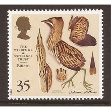 1996 GB, Wildfowl, Bittern, NH Mint Stamp, SG. 1918