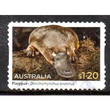 AUSTRALIA: 2023 NATIVE ANIMALS, $1.20 PLATYPUS USED SELF-ADHESIVE STAMP. 048/049