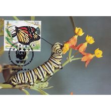 Monarch Butterfly Mexico WWF Limited Edn Stamp First Day Cover Postcard