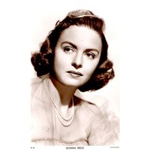 Donna Reed Picturegoer Actress Vintage Real Photo Card