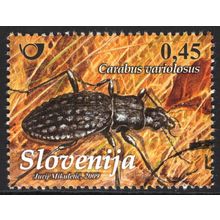 SLOVENIA 2009: INSECTS - 0.45€ CARABUS VARIOLOSUS USED (G21)