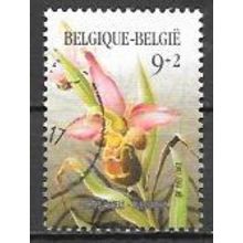 Belgium ( Belgique ) N° 2244 YVERT OBLITERE (USED)