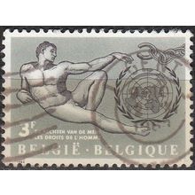 Belgique 1962 Michel 1291 O Cote (2008) 0.25 € Droits de l'Homme Cachet rond