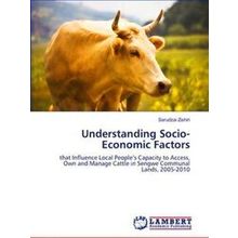 Understanding Socio-Economic Factors