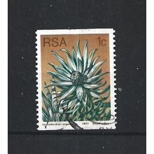 SouthAfrica.SG431 1c Leucadendron Argenteum.Fine Used.Sep25s