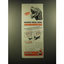 1951 Gaines Dog Food Ad - New! Gaines meal now homogenized