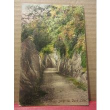 DARK LANE, BUDLEIGH SALTERTON DEVON unused antique postcard by F. Frith =