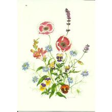 Art PAULA JOYCE Love In A Mist Postcard (Medici 2106)