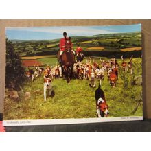 FOXHOUNDS, TALLY-HO unused postcard by John Hinde (a) =