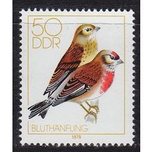 GERMANY DDR [1979] MiNr 2393 ( **/mnh ) Vögel